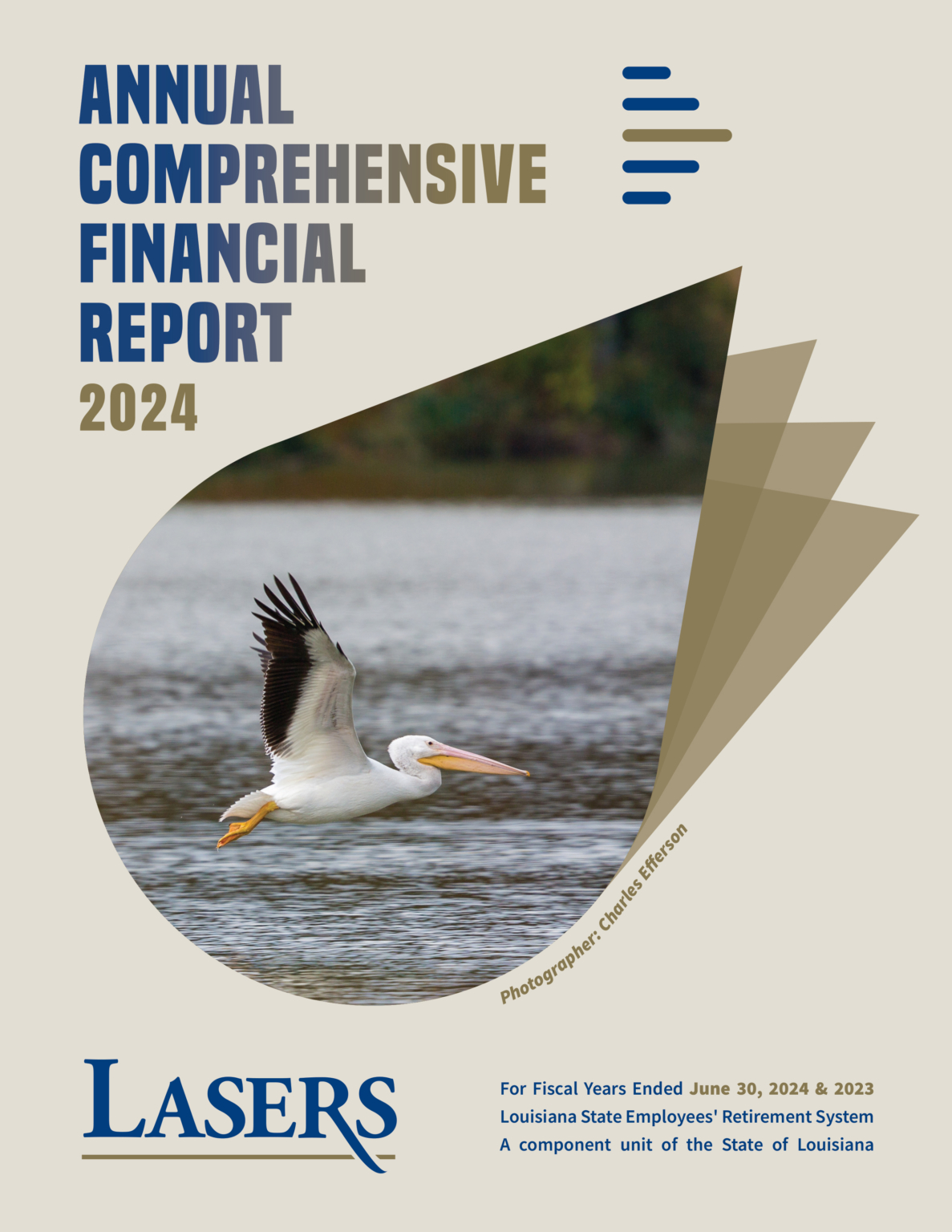 Annual Reports – LASERS