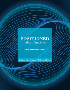 2025 Investment Report: Positioned with Purpose PDF